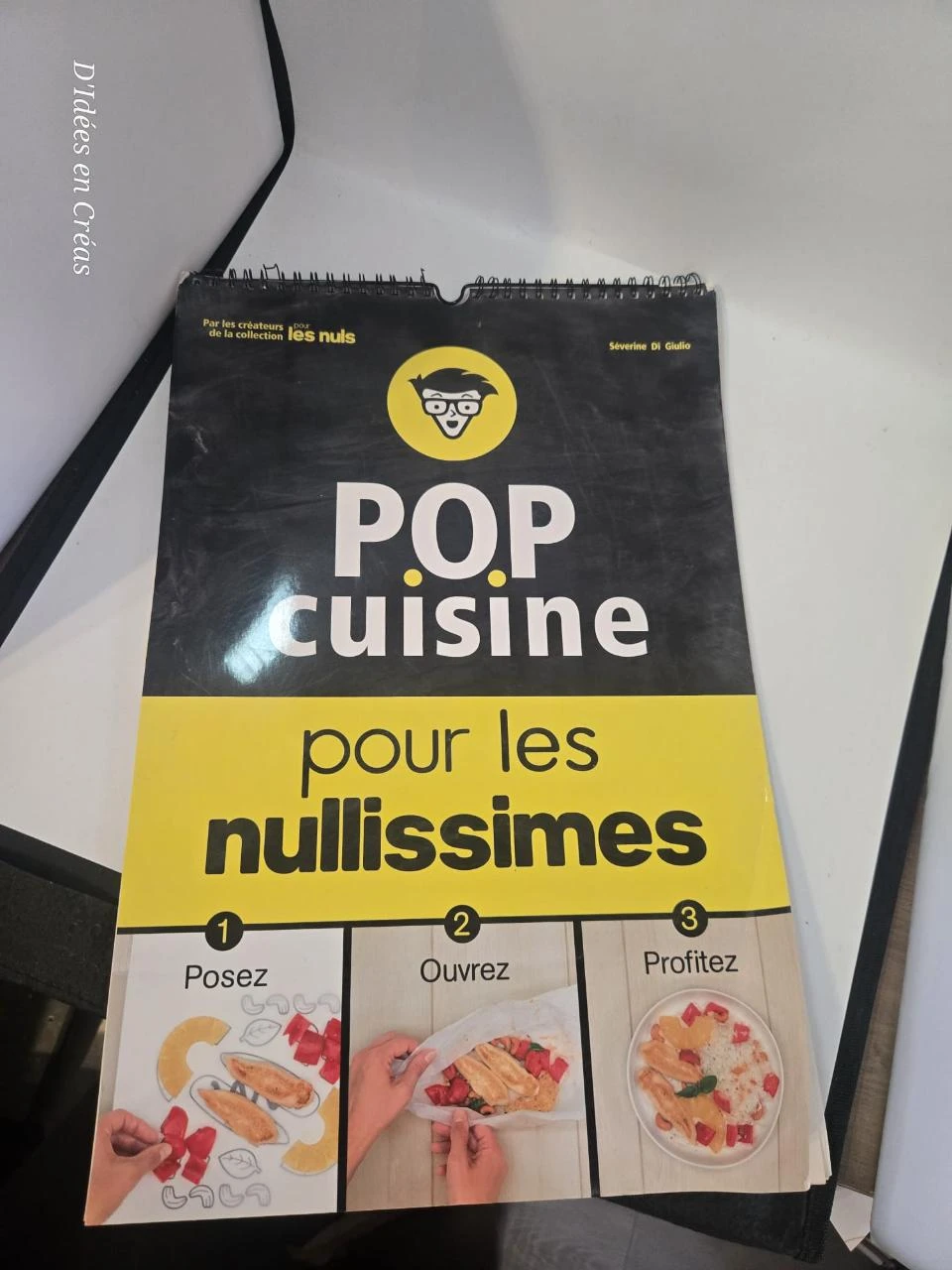 Livre Pop Cuisine pour les Nuls – 50 recettes de papillotes – Très bon état